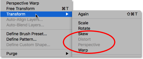 The Transform menu showing Distort and Perspective grayed out with Type layers.