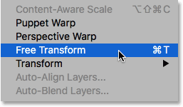 Choosing the Free Transform command from under the Edit menu.
