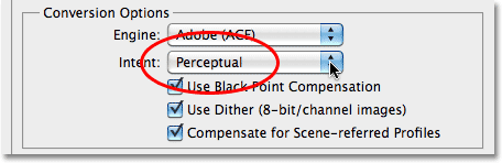 Photoshop conversion options set to Perceptual. Image © 2010 Photoshop Essentials.com.