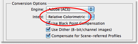 Photoshop conversion options set to Relative Colorimetric. Image © 2010 Photoshop Essentials.com.