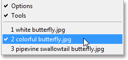 A list of open documents appears in the Window menu in Photoshop. Image © 2013 Photoshop Essentials.com