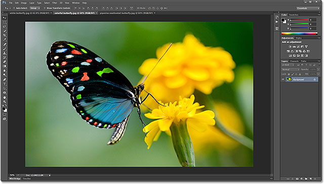 Colorful butterfly foto. Gambar berlisensi dari Shutterstock oleh Photoshop Essentials.com