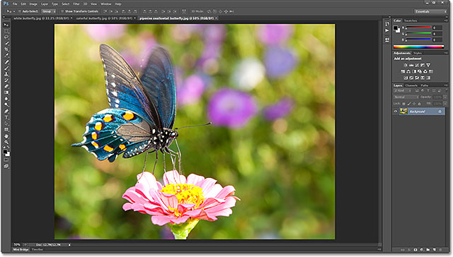 Tiga foto dibuka sebagai dokumen di Photoshop CS6 tab. Gambar berlisensi dari Shutterstock oleh Photoshop Essentials.com