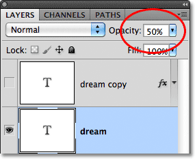 Lowering the layer opacity to 50%. Image © 2011 Photoshop Essentials.com