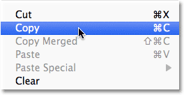 Go to Edit > Copy. Image © 2011 Photoshop Essentials.com