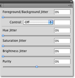 The Color Dynamics options in the Brushes panel in Photoshop. Image © 2010 Photoshop Essentials.com