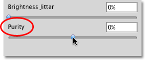 The Purity control in the Color Dynamics section of the Brushes panel in Photoshop. Image © 2010 Photoshop Essentials.com