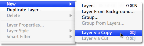 Photoshop New Layer via Copy. Image © 2008 Photoshop Essentials.com.