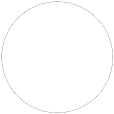 A circular path drawn with the Ellipse Tool set to the Path drawing mode.