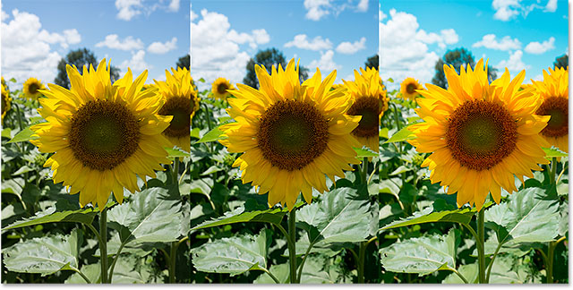 Sebuah perbandingan foto yang sama di sRGB, Adobe RGB dan ProPhoto RGB. Image © 2013 Photoshop Essentials