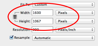 iresize in pixels method width