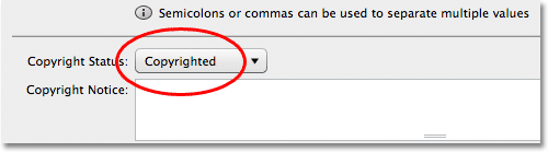 The Copyright Status option in the File Info dialog box. Image © 2012 Photoshop Essentials.com