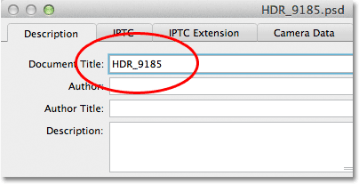 Entering the name of the file in the Document Title box. Image © 2012 Photoshop Essentials.com