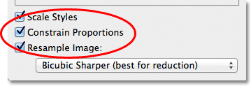 Pilihan Constrain Proportions di kotak dialog Image Size. Image © 2012 Photoshop Essentials.com