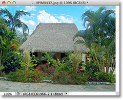 Gambar setelah mengubah ukuran dengan 50 persen di Photoshop. Image © 2012 Photoshop Essentials.com