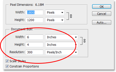 photoshop image resize height and width