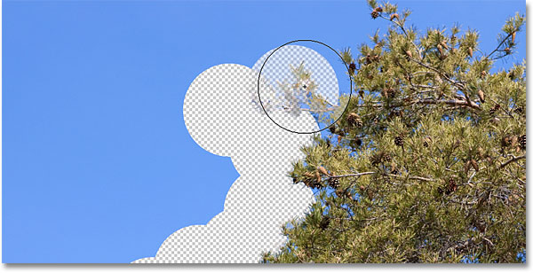 An example of the Background Eraser in Photoshop. Image © 2010 Photoshop Essentials.com