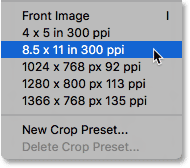 Choosing a crop size preset.
