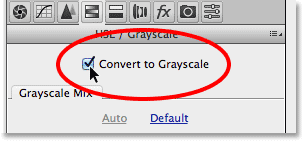 free online grayscale image converter