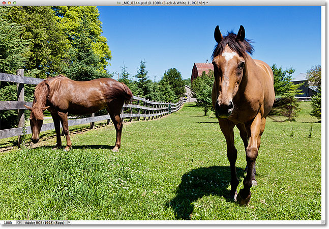 Hasil akhir. Image © 2012 Steve Patterson.