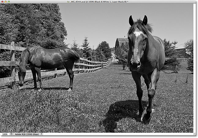 Foto telah dikonversi dari warna hitam dan putih. Image © 2012 Photoshop Essentials.com