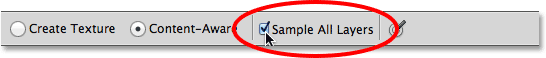 The Sample All Layers option in the Options Bar in Photoshop. Image © 2013 Photoshop Essentials.com