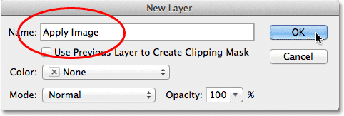 Naming a layer in the New Layer dialog box. Image © 2012 Photoshop Essentials.com