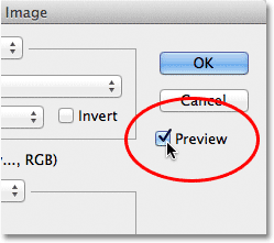 The Preview option in the Apply Image dialog box. Image © 2012 Photoshop Essentials.com