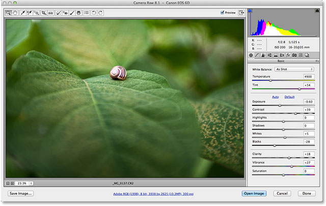 Like Adobe Lightroom, Camera Raw gives you everything you need for processing raw images.