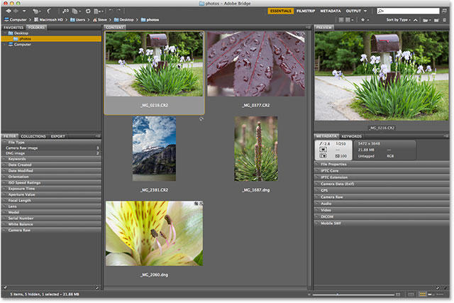 Memilih foto untuk membuka di Camera Raw menggunakan Adobe Bridge CS6. Image © 2013 Photoshop Essentials.com