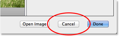 The Cancel button in Camera Raw. Image © 2013 Photoshop Essentials.com