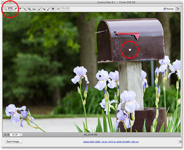 Memilih dan menggunakan Hand Tool di Camera Raw. Image © 2013 Photoshop Essentials.com