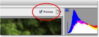 Опция предварительного просмотра в Camera Raw. Image © 2013 Photoshop Essentials.com