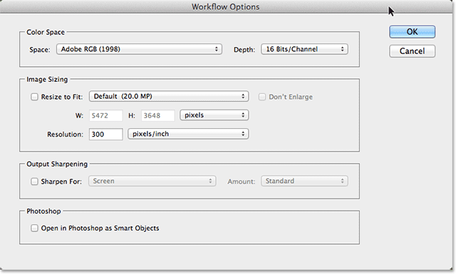 The Camera Raw Workflow pilihan kotak dialog. Image © 2013 Photoshop Essentials.com