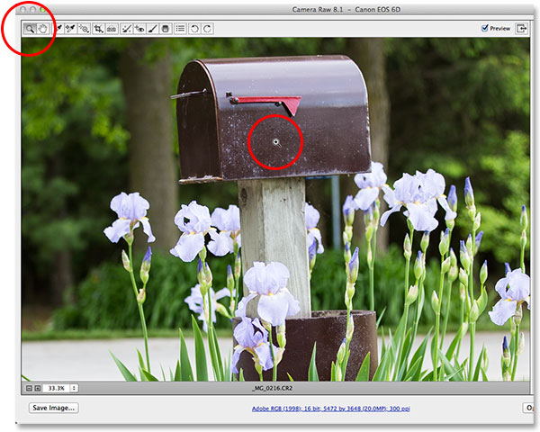 Выбор и использование Zoom Tool в Camera Raw. Image © 2013 Photoshop Essentials.com