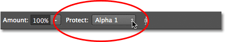 Mengatur Lindungi pilihan untuk Alpha 1 untuk perintah Skala Content-Aware. Image © 2012 Photoshop Essentials.com