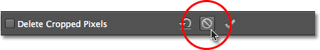 Click the Cancel button to escape out of the image cropping. Image © 2012 Photoshop Essentials.com