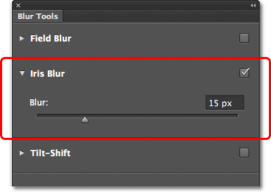 The Blur Alat panel terbuka untuk Iris pilihan Blur. Image © 2012 Photoshop Essentials.com