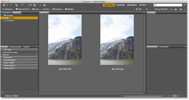 Сырья и JPEG версия той же фотографии в Adobe Bridge. Image © 2013 Photoshop Essentials.com