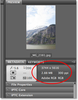 Просмотр панели метаданных в Adobe Bridge. Image © 2013 Photoshop Essentials.com