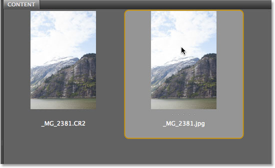 Selecting the JPEG photo in Bridge. Image © 2013 Photoshop Essentials ...