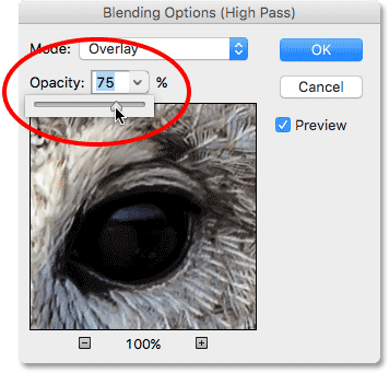 Lowering the opacity of the High Pass filter in the Blending Options dialog box. Image © 2016 Photoshop Essentials.com