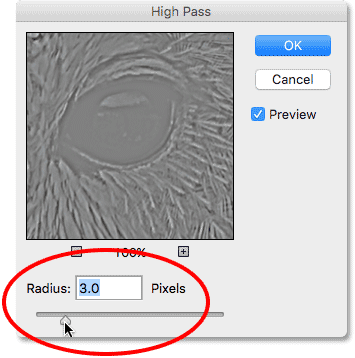 Setting the High Pass filter Radius value to 3 pixels. Image © 2016 Photoshop Essentials.com