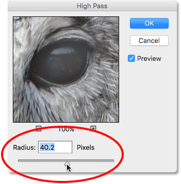 Increasing the Radius value to around 40 pixels. Image © 2016 Photoshop Essentials.com