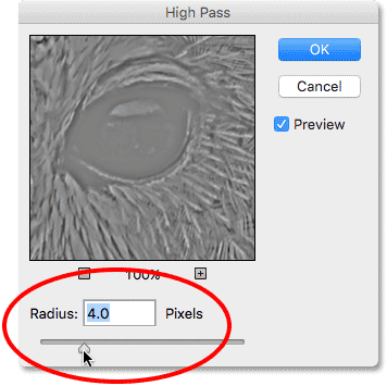 Increasing the Radius value in the High Pass filter dialog box. Image © 2016 Photoshop Essentials.com