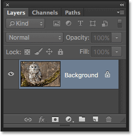 The Layers panel showing the photo on the Background layer. Image © 2016 Photoshop Essentials.com