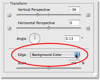 Mengatur opsi Edge kotak dialog Lensa Koreksi di Photoshop CS4. Gambar © 2009 Photoshop Essentials.com