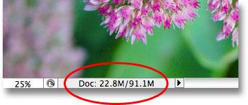 Документ Photoshop теперь в четыре раза его исходный размер файла. Image © 2009 Photoshop Essentials.com.