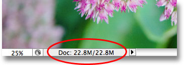 Размер файла документа Photoshop остается неизменной. Image © 2009 Photoshop Essentials.com.