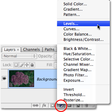Выбор регулировки уровней слой в Photoshop. Image © 2009 Photoshop Essentials.com.